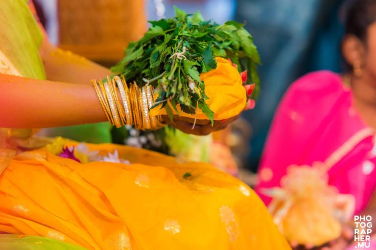 13735109_1140475636003083_5166069205259158256_o